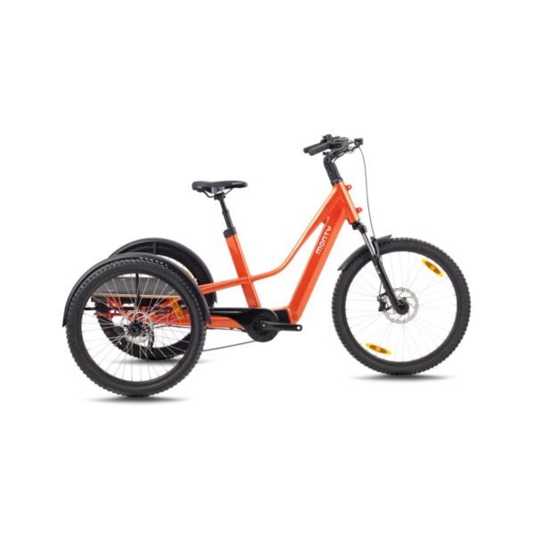 Triciclo Eléctrico Cargo Monty Rocket XC